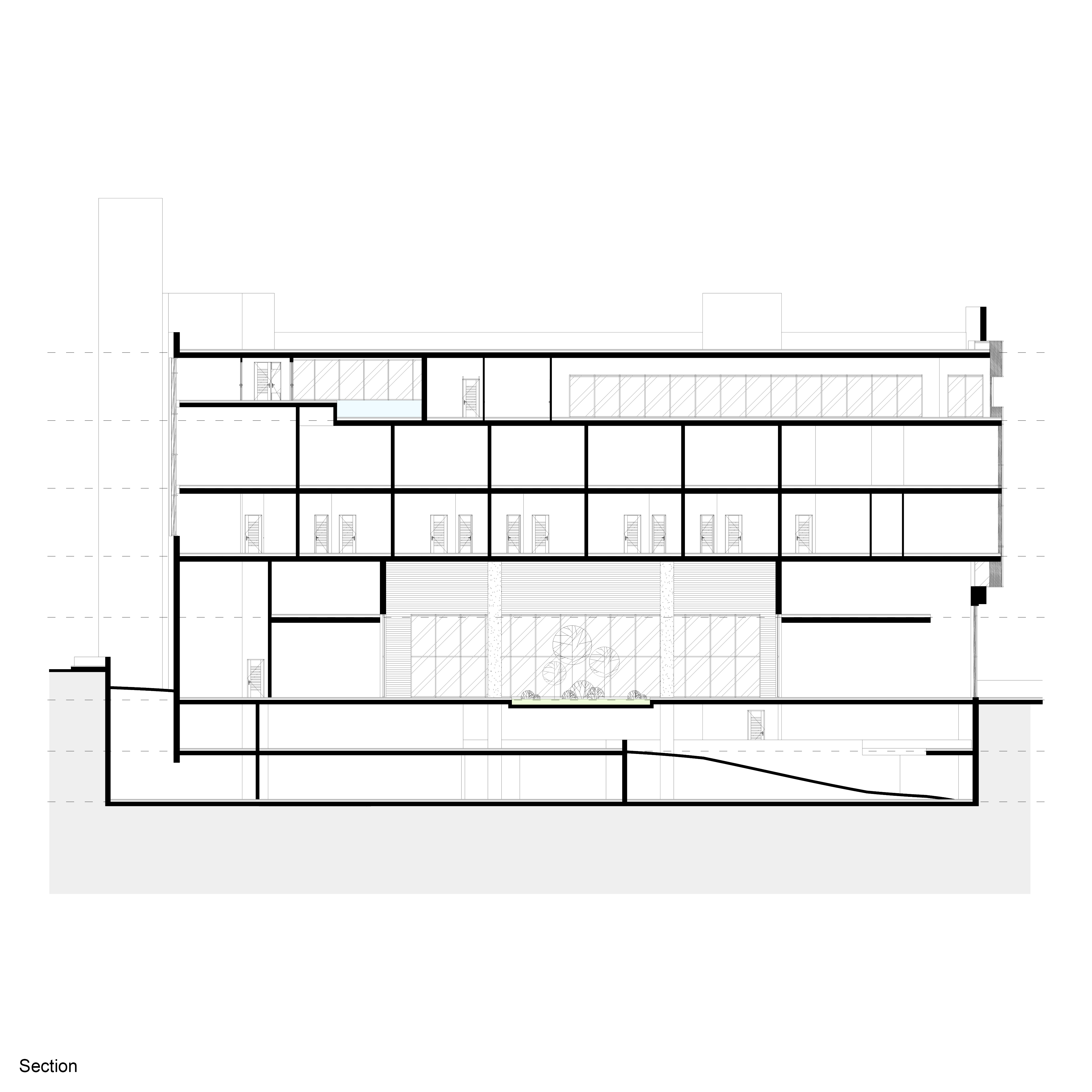 Section 