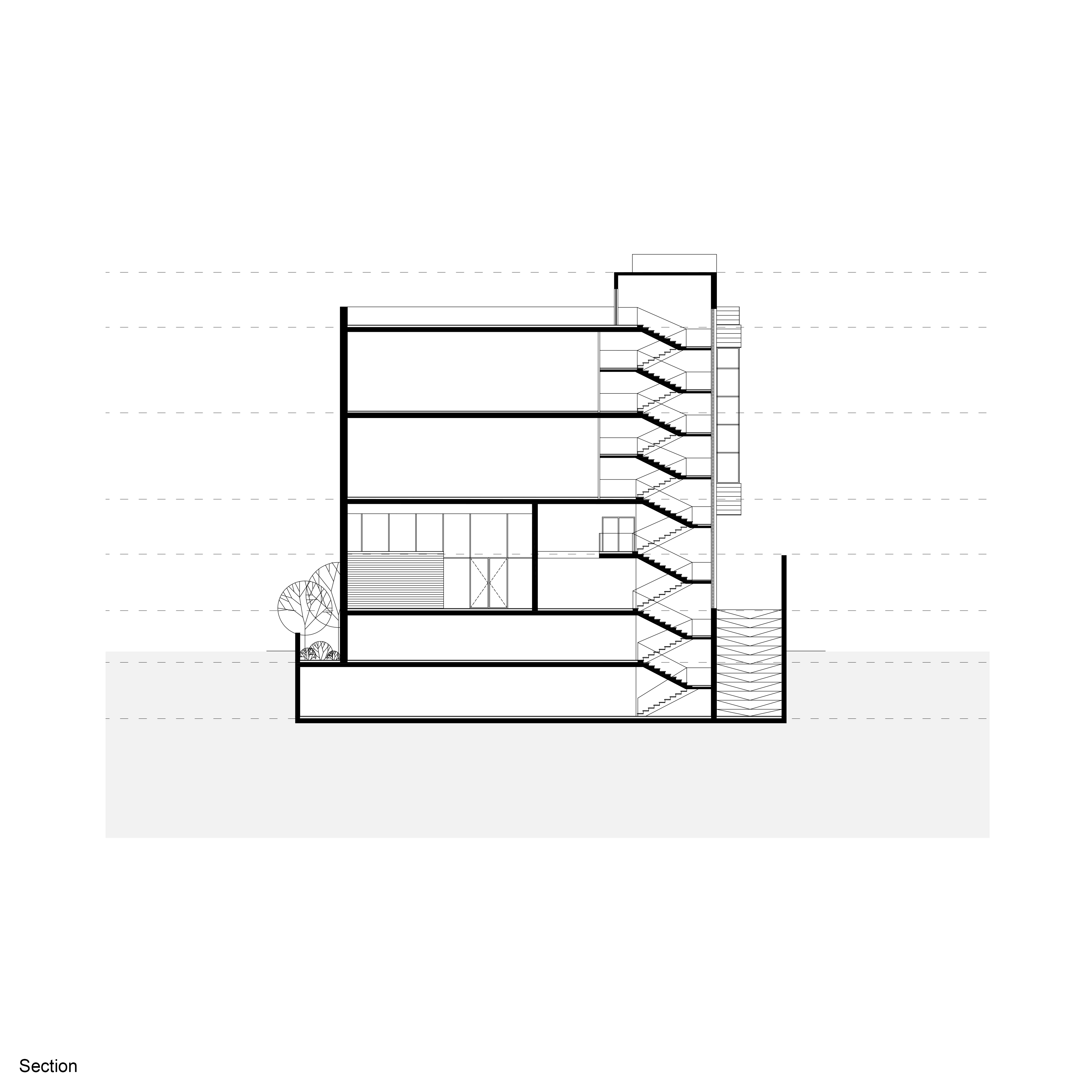 Section 