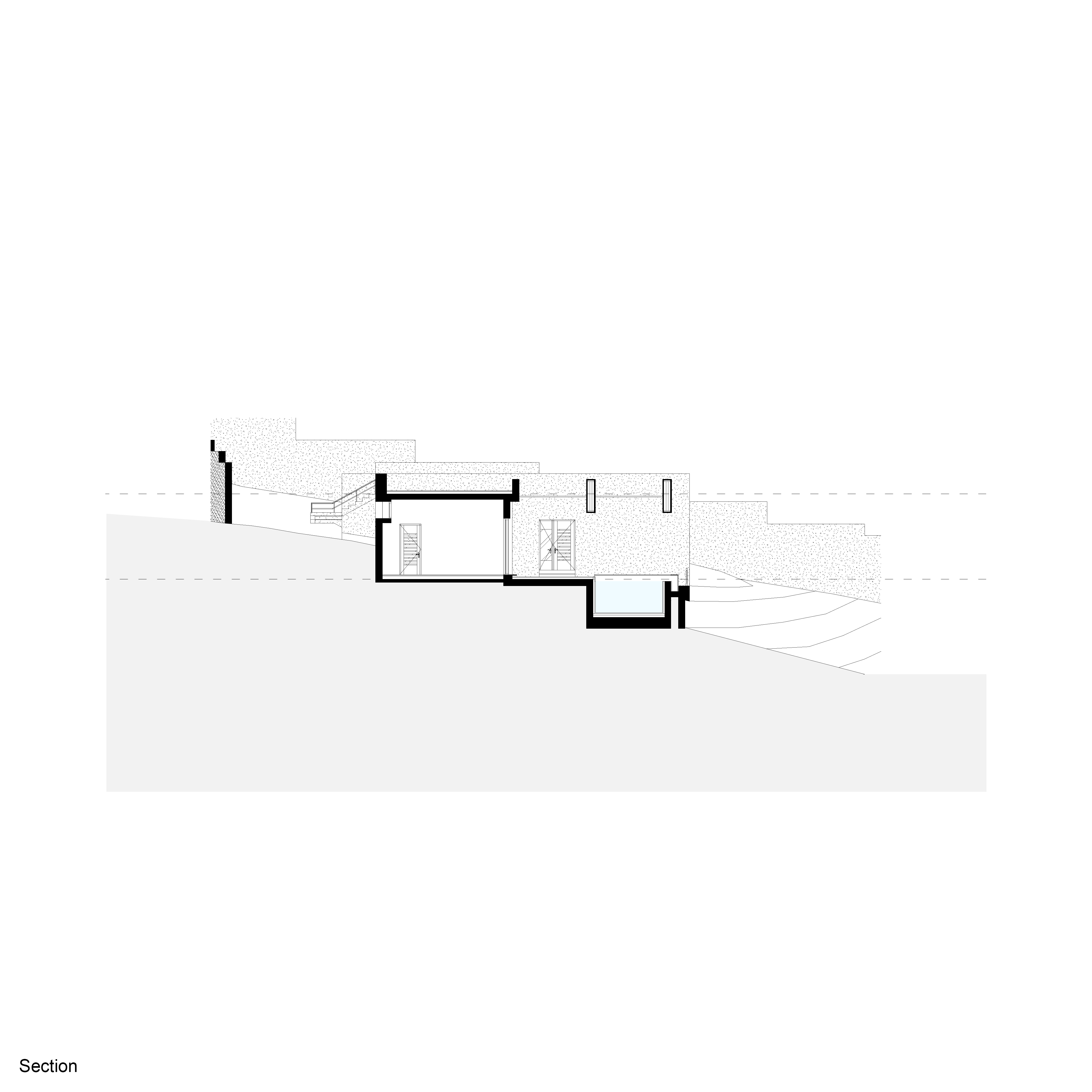 Section 
