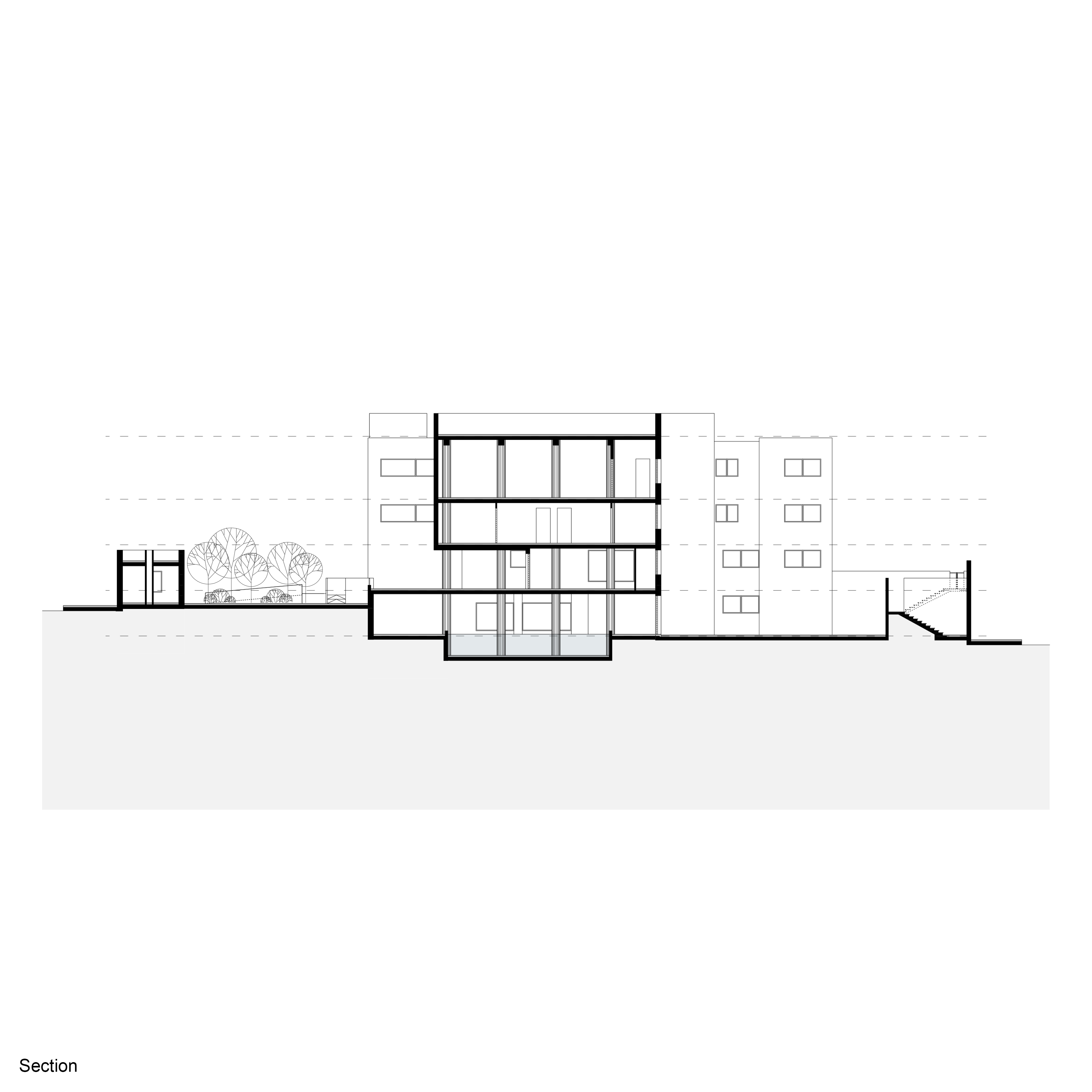 Section 