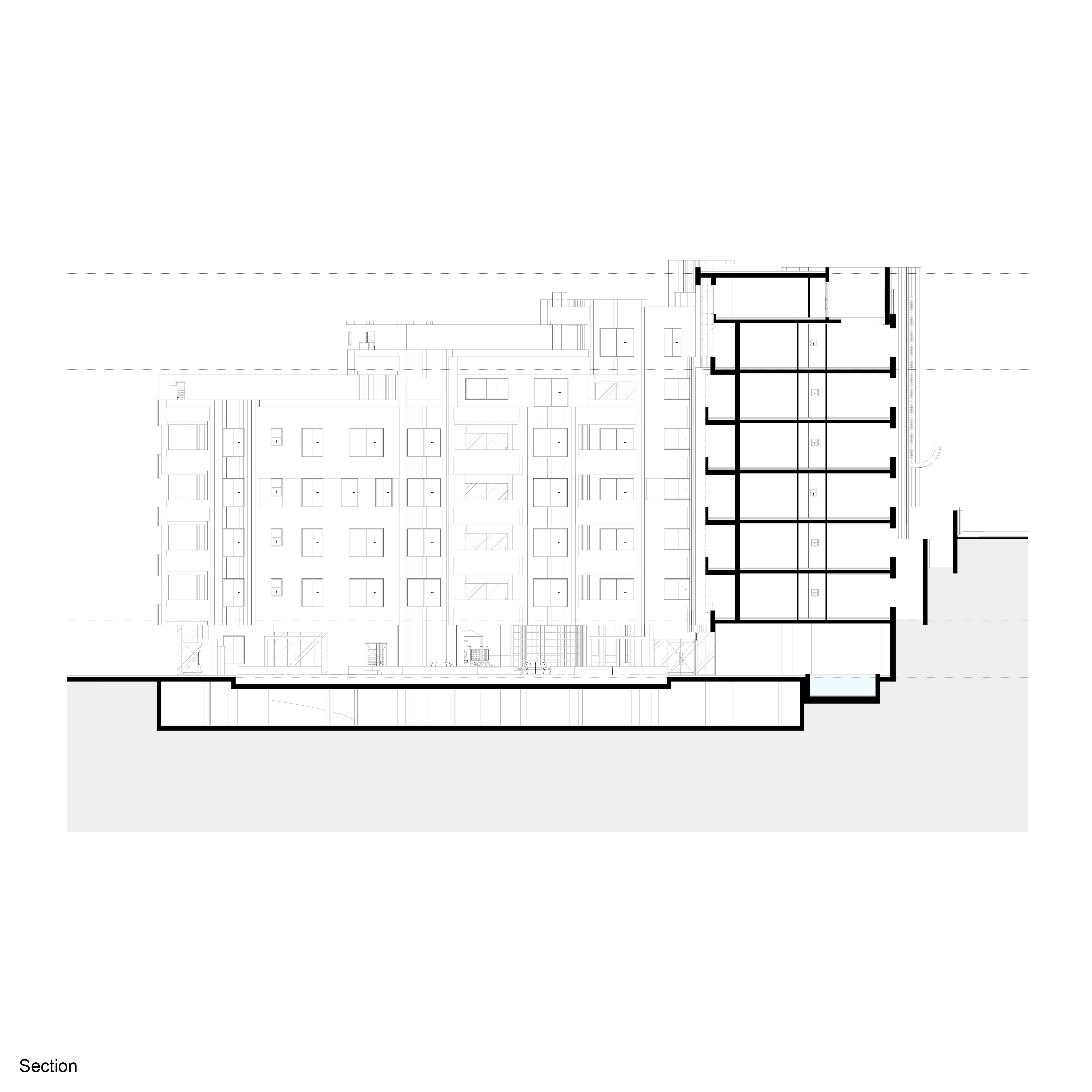 Section 