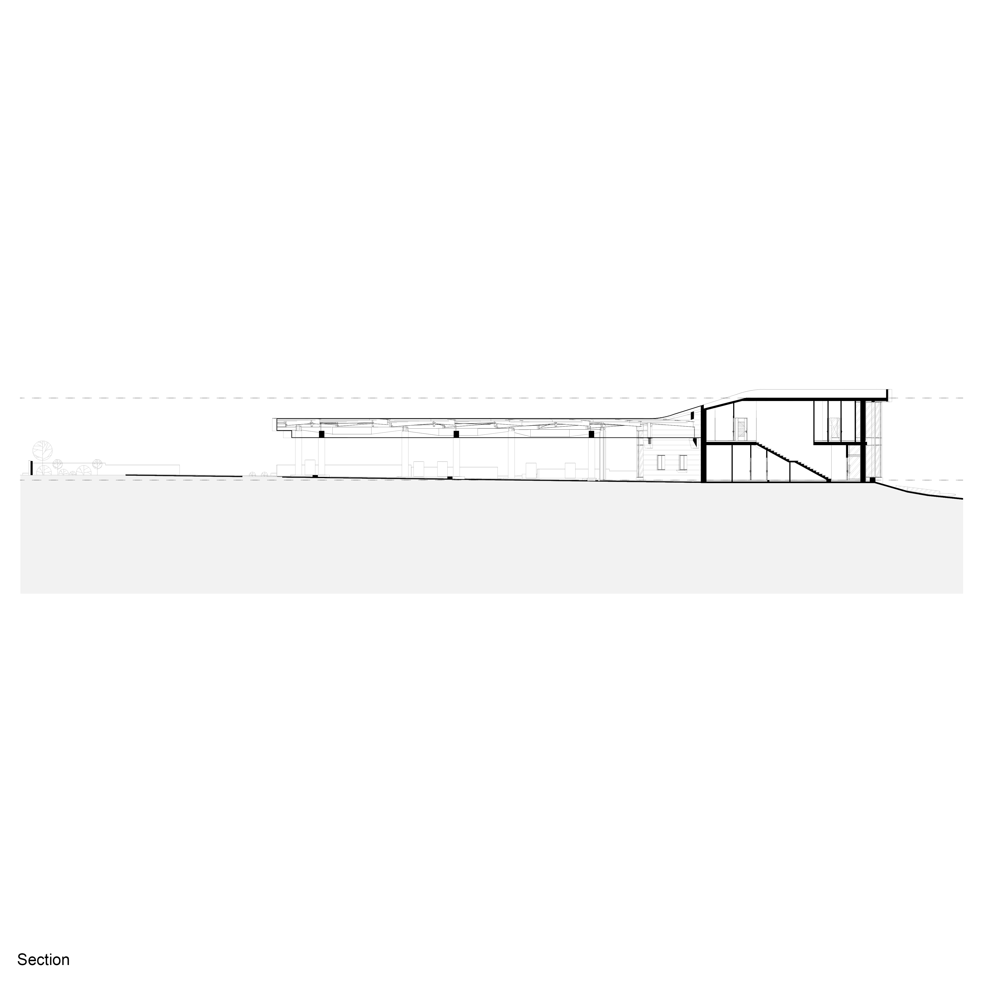 Section 